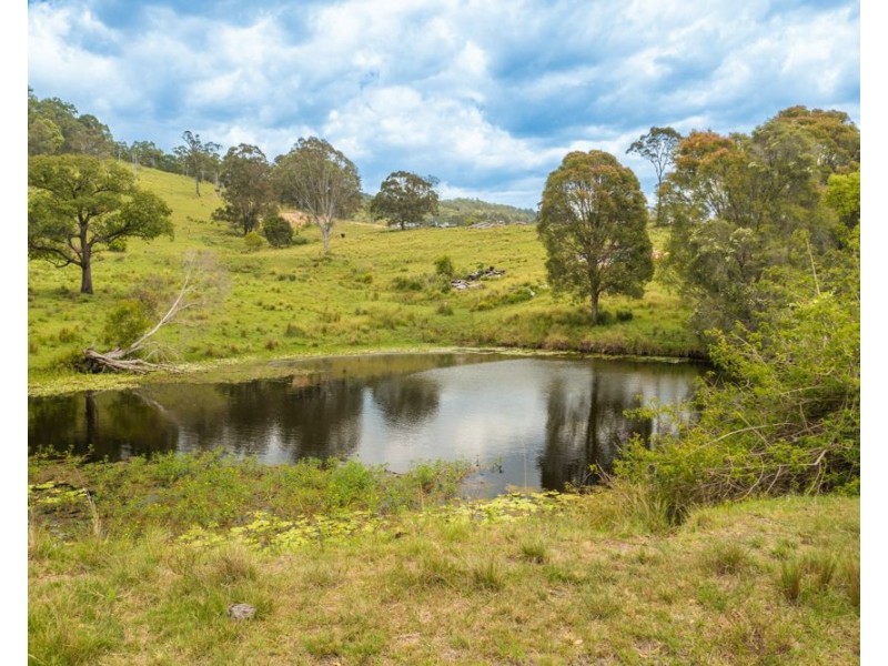 255 Spokes Road, Ballengarra NSW 2441