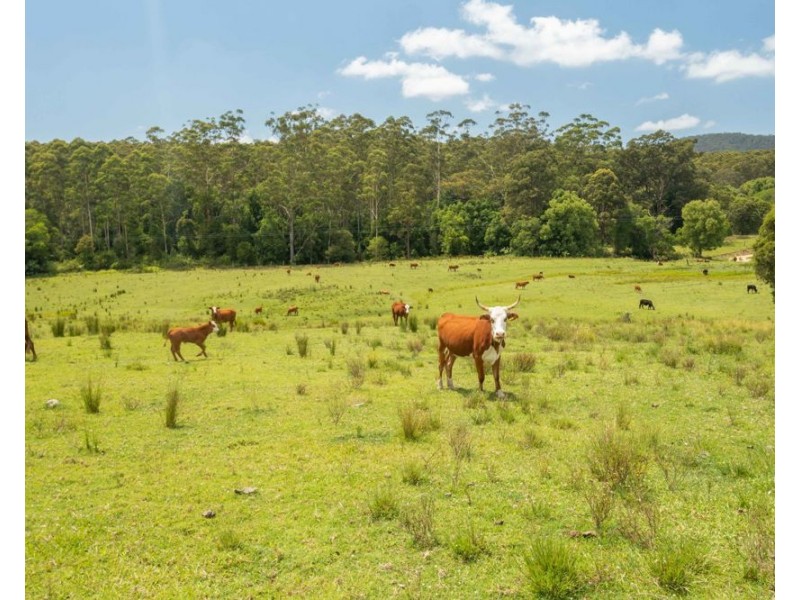 255 Spokes Road, Ballengarra NSW 2441