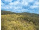 255 Spokes Road, Ballengarra NSW 2441