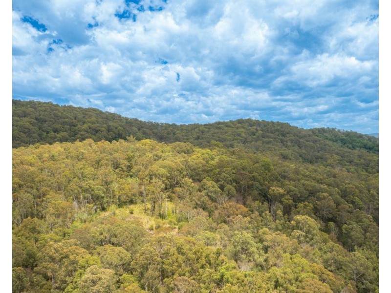 255 Spokes Road, Ballengarra NSW 2441