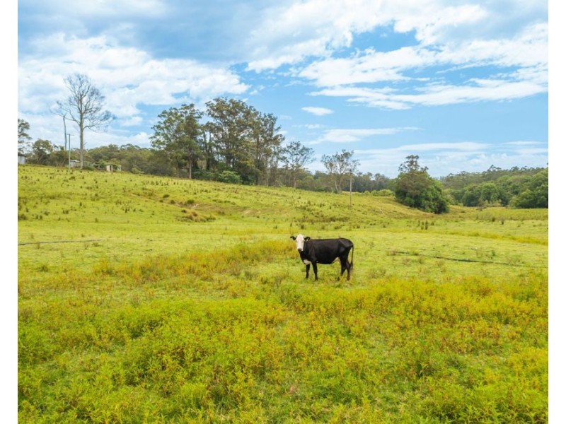 255 Spokes Road, Ballengarra NSW 2441