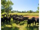 1835 Oxley Highway, Wauchope NSW 2446