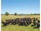 1835 Oxley Highway, Wauchope NSW 2446