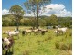 43 THONE RIVER ROAD, Byabarra NSW 2446