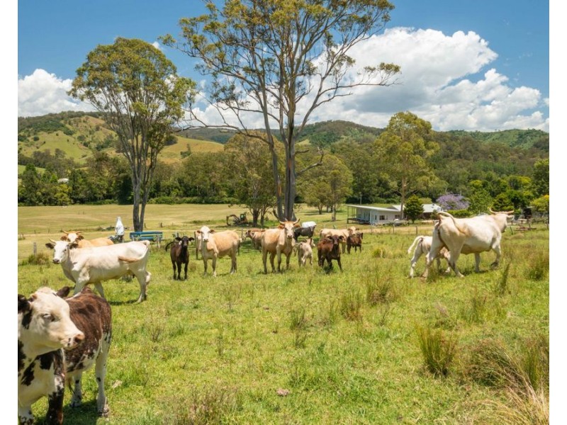 43 THONE RIVER ROAD, Byabarra NSW 2446