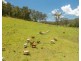 43 THONE RIVER ROAD, Byabarra NSW 2446