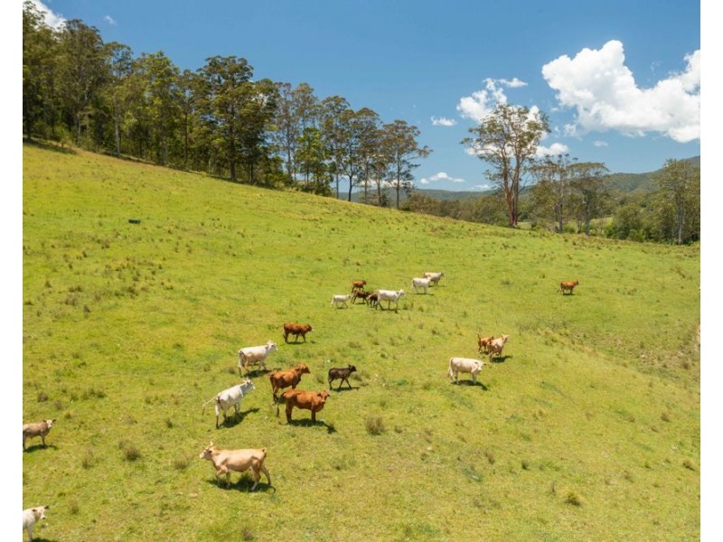 43 THONE RIVER ROAD, Byabarra NSW 2446