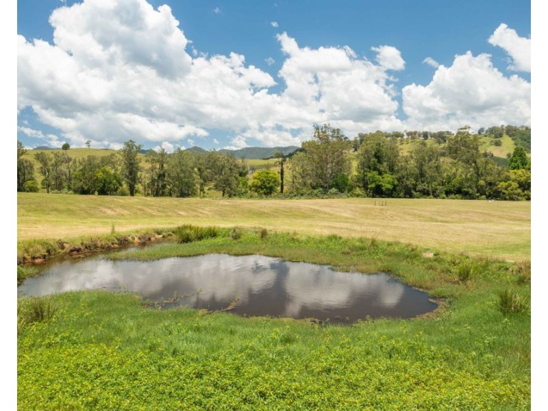 43 THONE RIVER ROAD, Byabarra NSW 2446