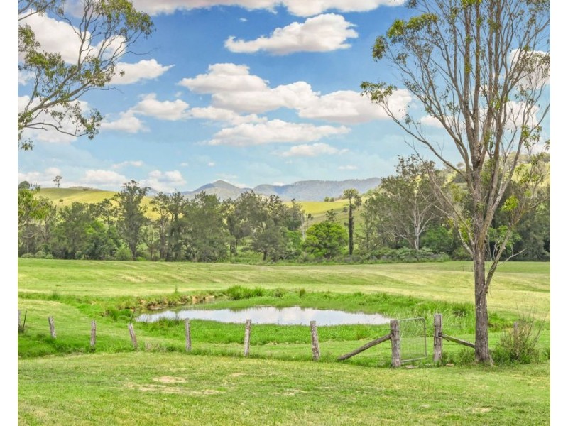 43 THONE RIVER ROAD, Byabarra NSW 2446