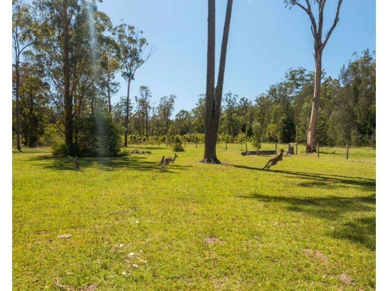 517 Lake Innes Drive, Lake Innes NSW 2446