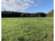 369 Maria River Rd, Crescent Head NSW 2440