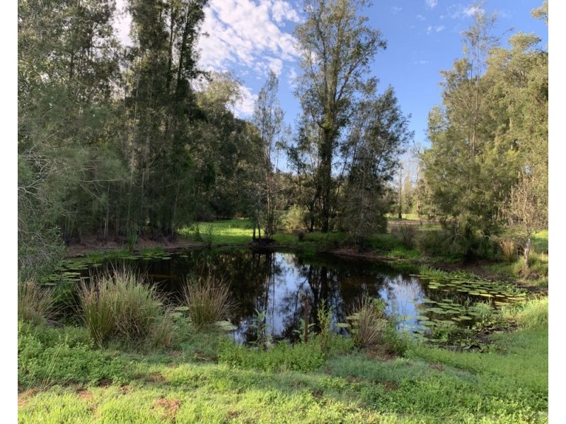 369 Maria River Rd, Crescent Head NSW 2440