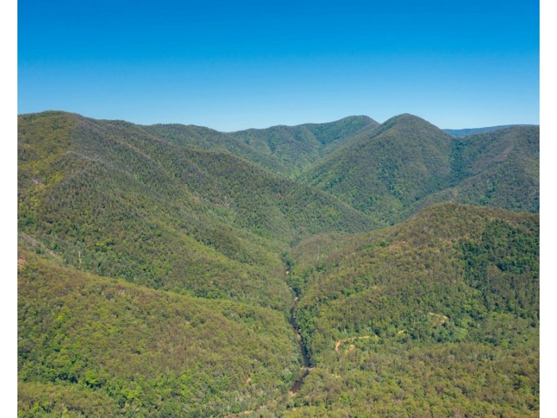 Mount Seaview NSW 2446