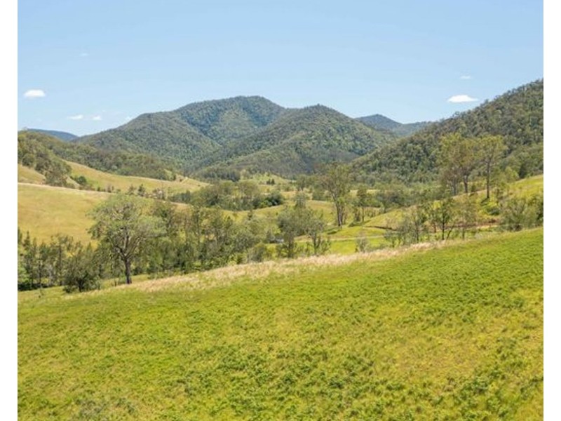 Mount Seaview NSW 2446