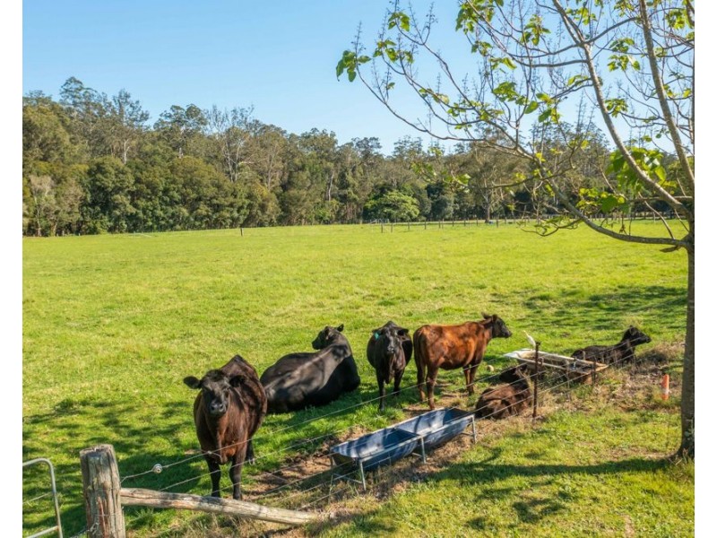 302 Clarefield Dungay Creek Road, Marlo Merrican NSW 2446