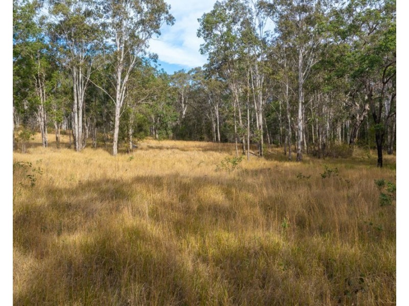 1386 Willi Willi Road, Temagog NSW 2440