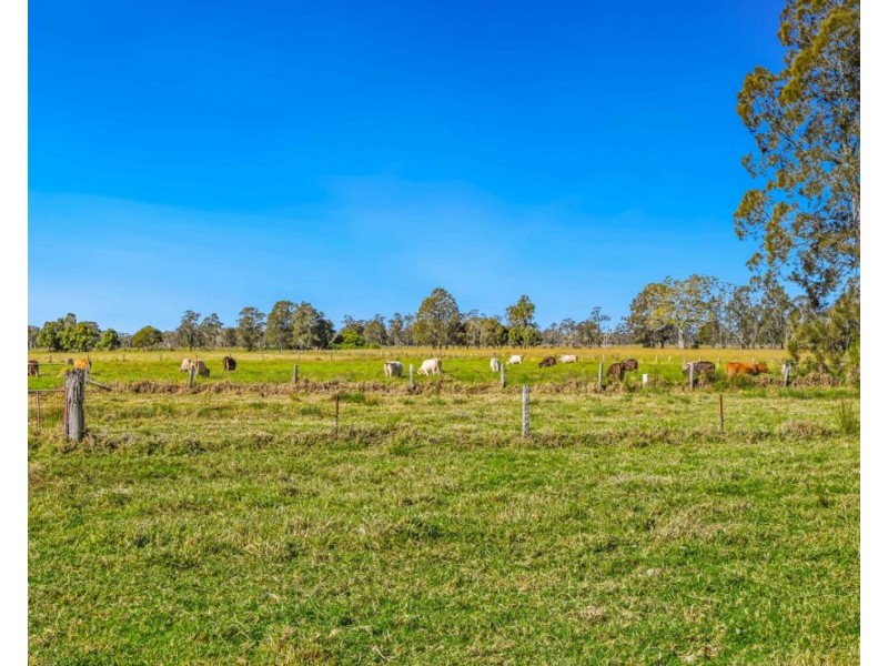 65 Right Bank Road, Belmore River NSW 2440