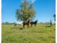 253 South West Rocks Road, Pola Creek NSW 2440