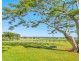 253 South West Rocks Road, Pola Creek NSW 2440