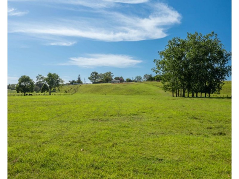 253 South West Rocks Road, Pola Creek NSW 2440