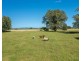 253 South West Rocks Road, Pola Creek NSW 2440