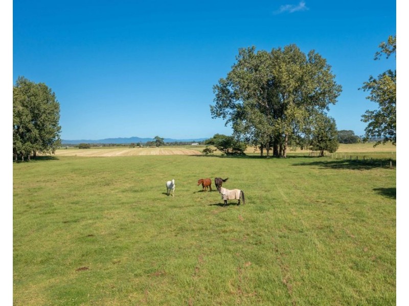 253 South West Rocks Road, Pola Creek NSW 2440