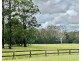 561 Collombatti Rd, Collombatti NSW 2440