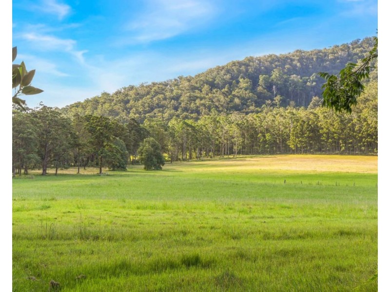 1524 Pappinbarra Road, Hollisdale NSW 2446