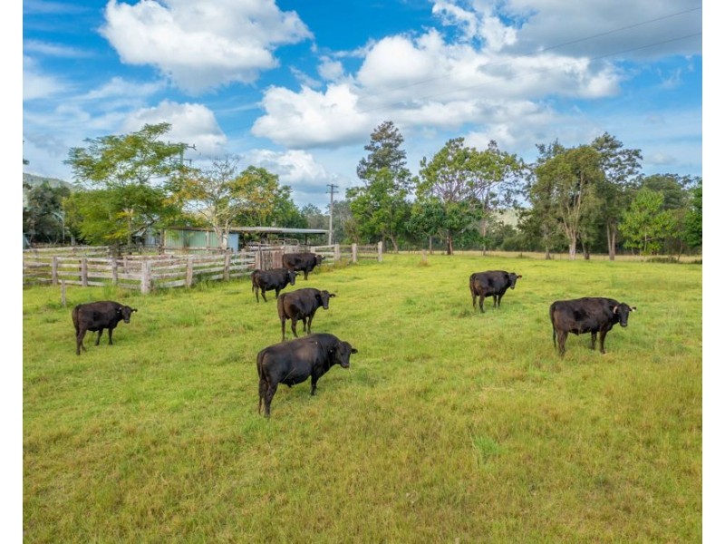 1524 Pappinbarra Road, Hollisdale NSW 2446