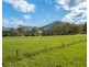 1524 Pappinbarra Road, Hollisdale NSW 2446