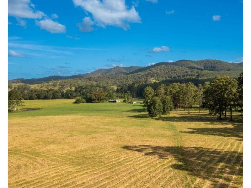 1524 Pappinbarra Road, Hollisdale NSW 2446