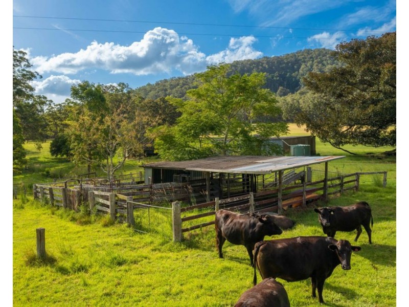 1524 Pappinbarra Road, Hollisdale NSW 2446
