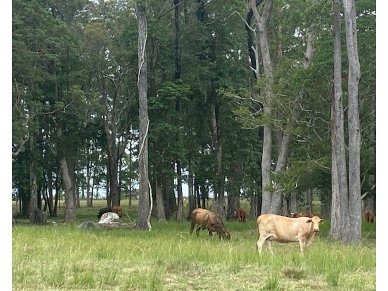 LOT 1 SEALE ROAD, Verges Creek NSW 2440