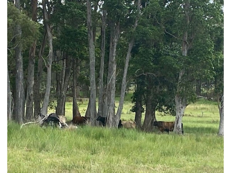 LOT 1 SEALE ROAD, Verges Creek NSW 2440