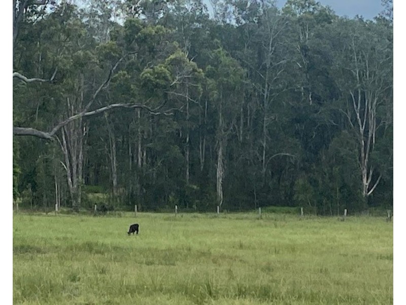 LOT 1 SEALE ROAD, Verges Creek NSW 2440