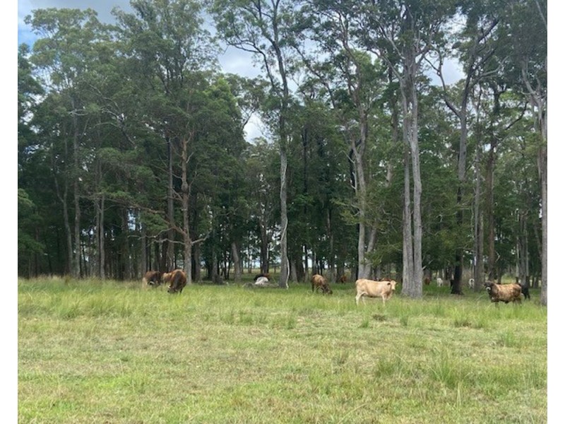 LOT 1 SEALE ROAD, Verges Creek NSW 2440