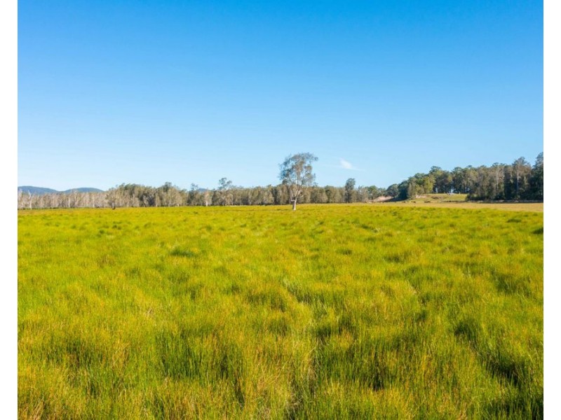 LOT 1 SEALE ROAD, Verges Creek NSW 2440
