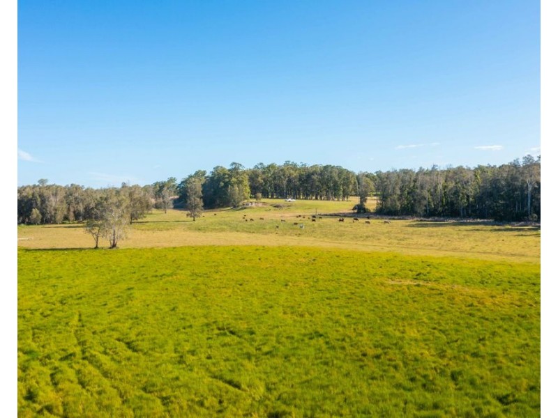 LOT 1 SEALE ROAD, Verges Creek NSW 2440
