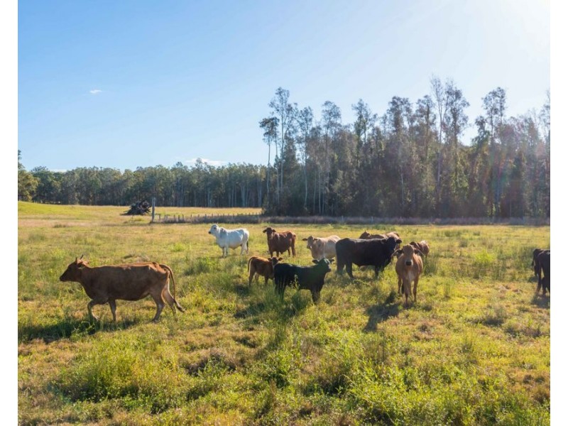LOT 1 SEALE ROAD, Verges Creek NSW 2440