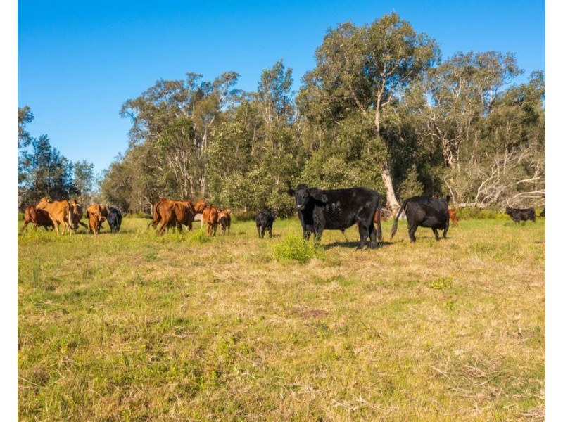 LOT 1 SEALE ROAD, Verges Creek NSW 2440