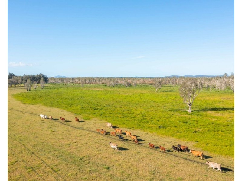 LOT 1 SEALE ROAD, Verges Creek NSW 2440
