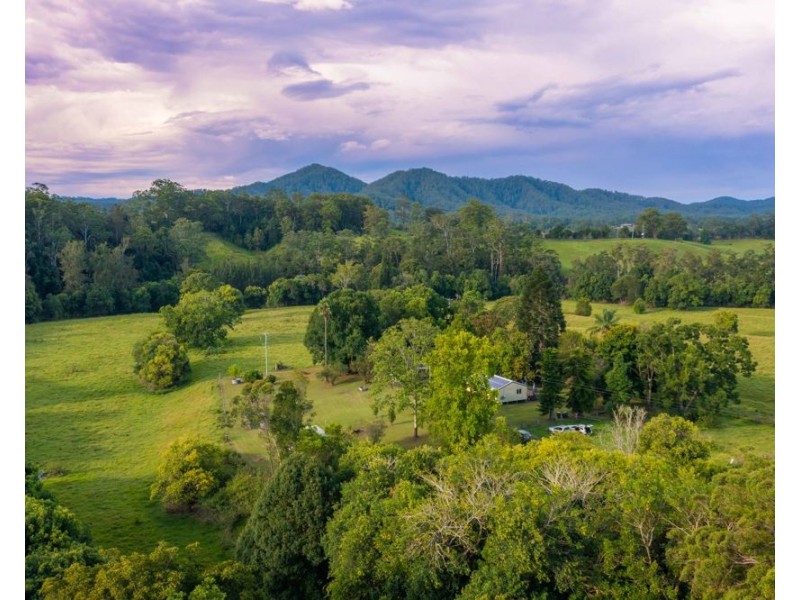 114 Graces Road, Bowraville NSW 2449