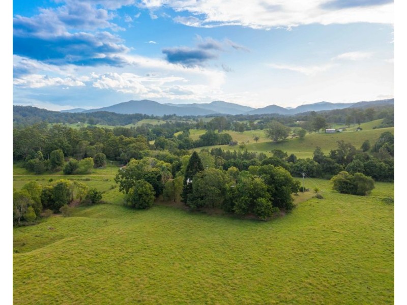 114 Graces Road, Bowraville NSW 2449