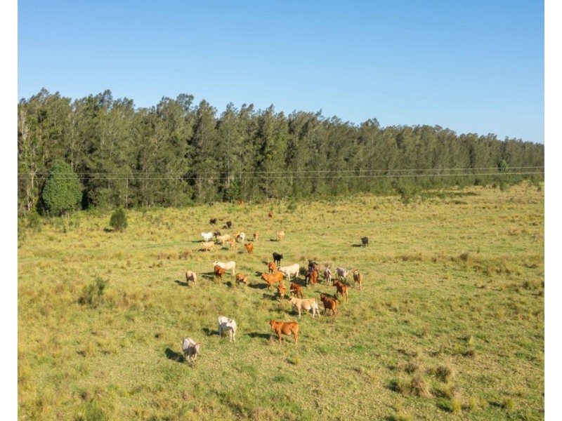 930 Maria River Road, Crescent Head NSW 2440