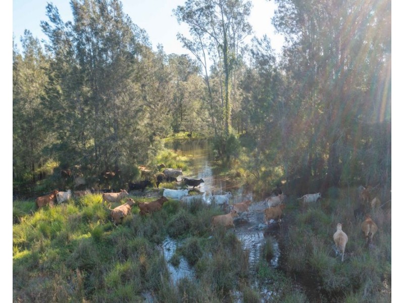 930 Maria River Road, Crescent Head NSW 2440