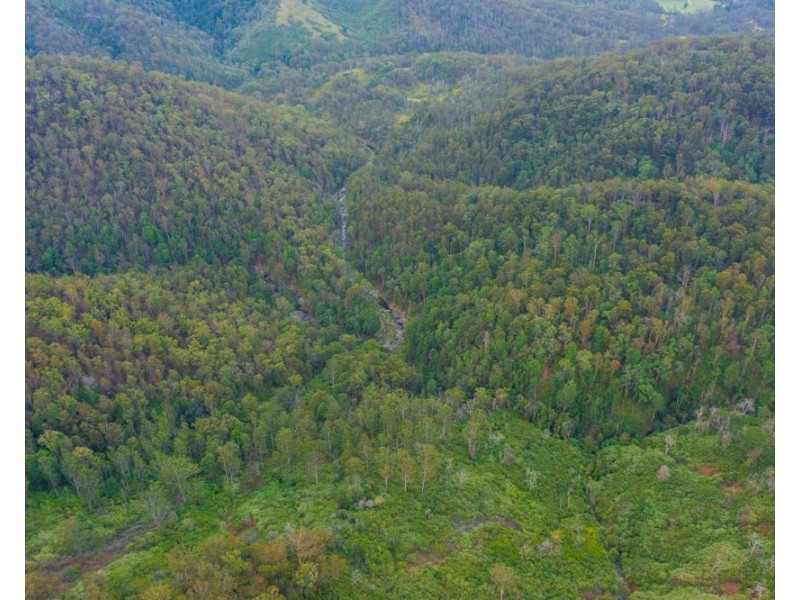 981 Costigans Road, Yarras NSW 2446