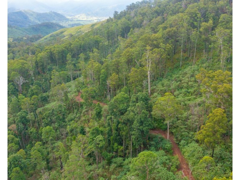 981 Costigans Road, Yarras NSW 2446