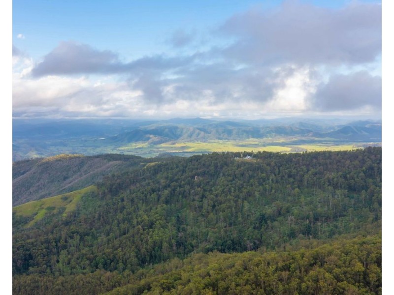 981 Costigans Road, Yarras NSW 2446