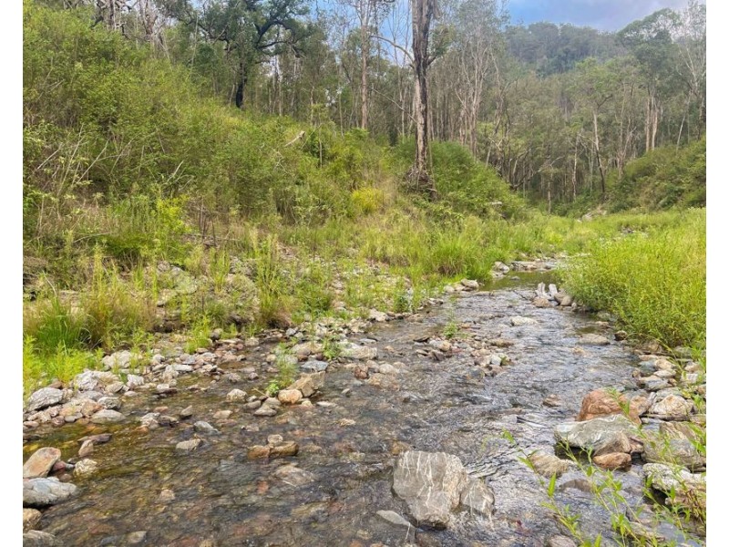 981 Costigans Road, Yarras NSW 2446