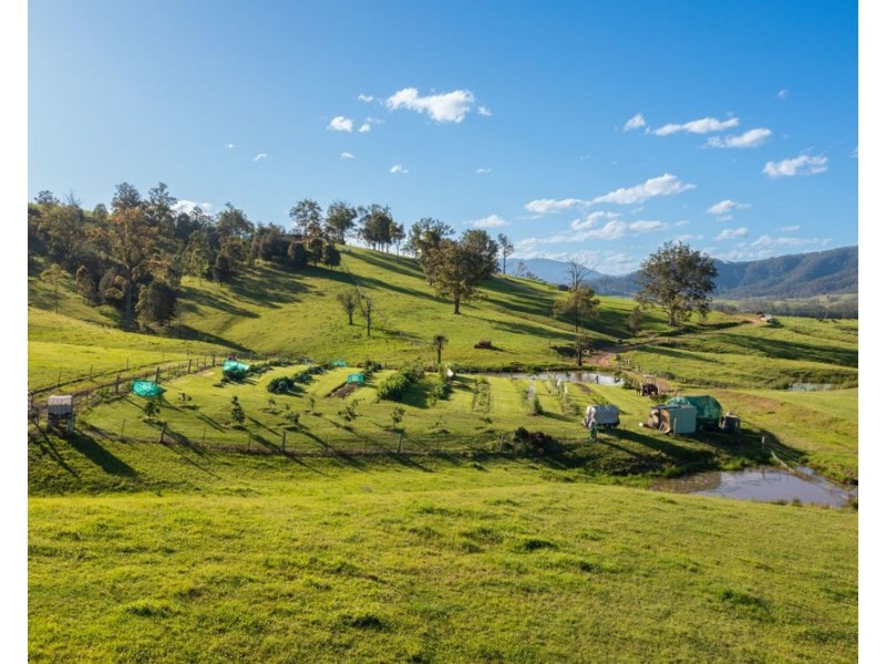 6487 Oxley Highway, Yarras NSW 2446